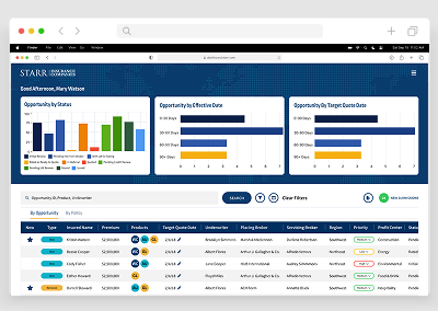 STARR Underwriter Workbench Portal